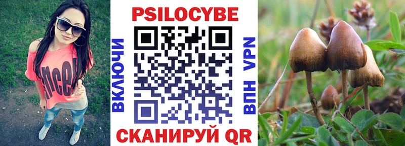 Псилоцибиновые грибы MAGIC MUSHROOMS Ялуторовск
