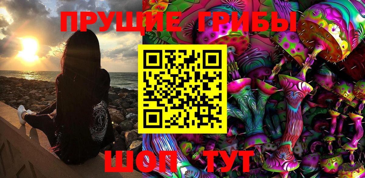 Псилоцибиновые грибы Cubensis Ялуторовск