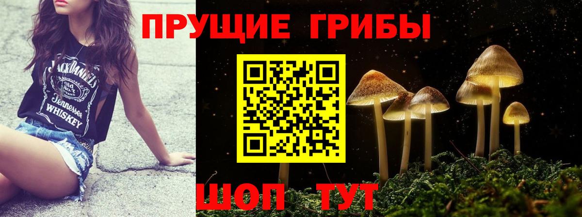 Ялуторовск  наркота  Вход с VPN  Псилоцибиновые грибы Magic Shrooms 